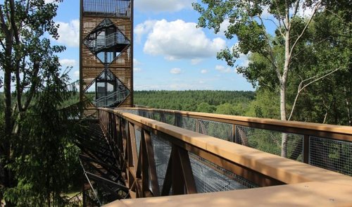 Medžių lajų takui – pasaulinis turizmo įvertinimas 