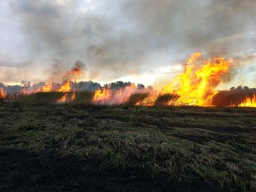 Ugniagesiai, sveikindami su Šv. Velykomis, prašo atsargiai elgtis su ugnimi