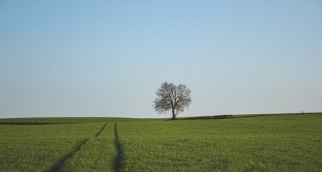 2016 m. balandžio 11 d. prasideda 2016 m. žemės ūkio naudmenų ir kitų plotų deklaravimas
