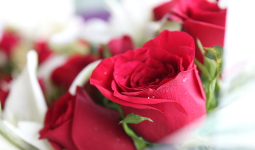 Sveikinimas Tėvo dienos proga