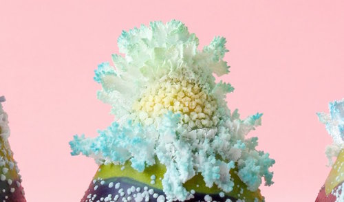 Tarptautinis trumpametražių filmų festivalis „Future Shorts“ grįžta į Anykščius