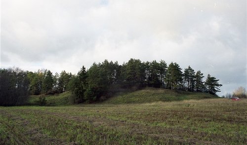 Dėkojame prisidėjusiems prie Buteikių piliakalnio gražinimo
