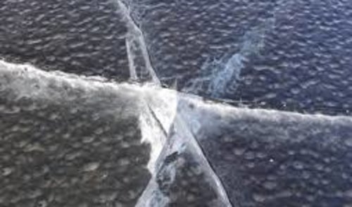 Dėl ledo dangos vandens telkiniuose