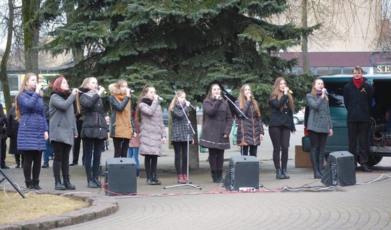 2017 m. Kovo 11-osios minėjimas prie paminklo Laisvei