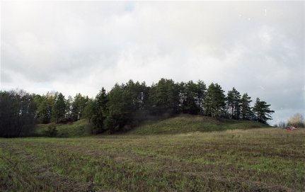 Dėkojame prisidėjusiems prie Buteikių piliakalnio gražinimo