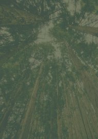 Kovo 11-ąją kviečia pasitikti gražinant Buteikių piliakalnį 