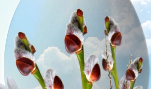 Sveikinimas šv. Velykų proga