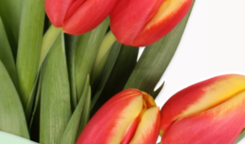 Sveikinimas motinos dienos proga