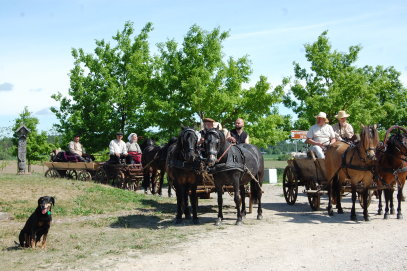 Tradicinio kinkinių žygio „Su žemaitukais į „Bėk bėk, žirgeli!“ dalyviai atkeliauja į Traupį