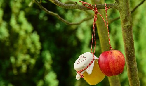 Dėkojame kūrusiems Obuolinių šventę Anykščiuose 