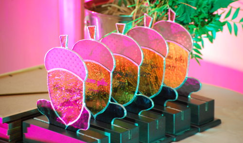 Anykščius turizmo srityje garsinantiems – „Turizmo gilės“