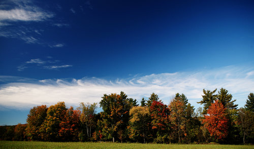 Norintiems naudotis aktualiais Kadastro duomenimis