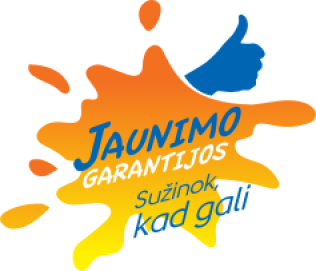 Dygsnelis po dygsnelio sėkmės link