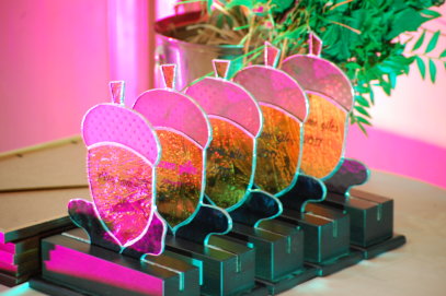 Anykščius turizmo srityje garsinantiems – „Turizmo gilės“