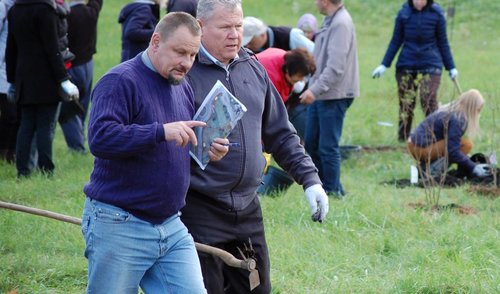 Anykščiuose – daugiau negu dviejų šimtų dekoratyvinių augalų skveras
