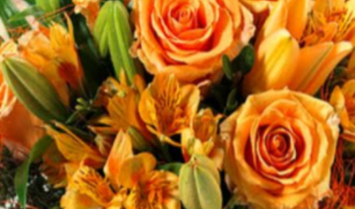 Sveikinimas Tarptautinės pagyvenusių žmonių dienos proga