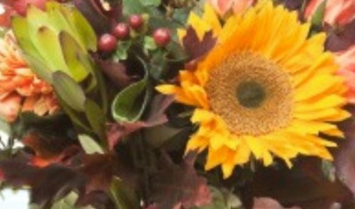 Sveikinimas Tarptautinės mokytojų dienos proga