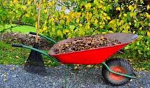 Anykščių mieste renkamos žaliosios atliekos 