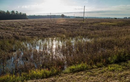Vyriausybė skelbia ekstremaliąją situaciją dėl liūčių padarytos žalos žemdirbiams