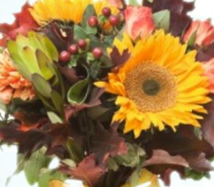 Sveikinimas Tarptautinės mokytojų dienos proga