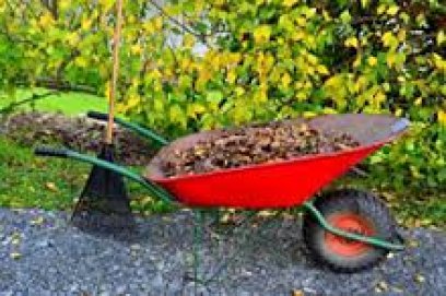 Anykščių mieste renkamos žaliosios atliekos 