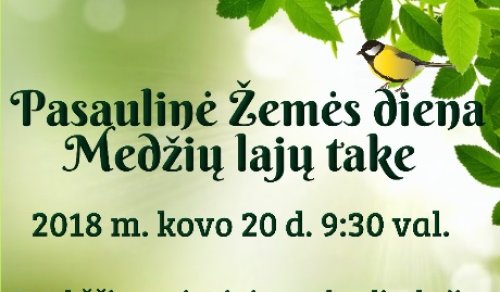 Pasaulinė Žemės diena Medžių lajų take
