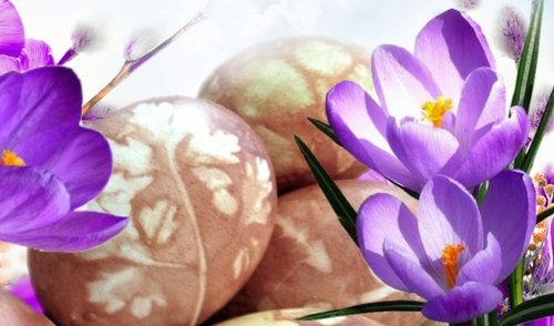 Sveikinimas šventų Velykų proga