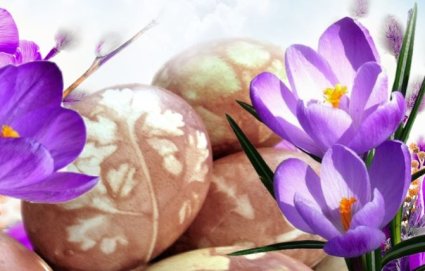 Sveikinimas šventų Velykų proga