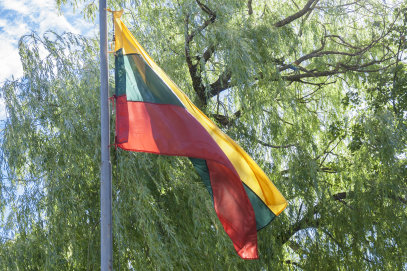 SVEIKINIMAS VALSTYBĖS (LIETUVOS KARALIAUS MINDAUGO KARŪNAVIMO) DIENOS PROGA