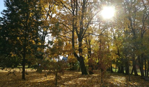 Šv. Mišios, Mokslo ir žinių diena Anykščių rajono savivaldybėje