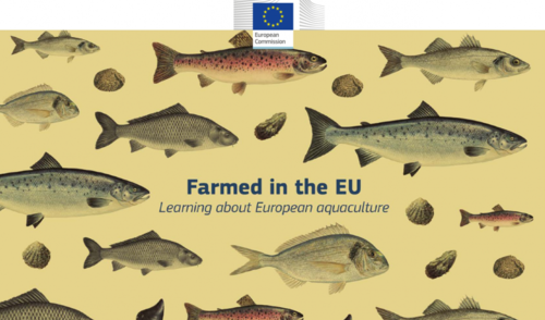 Mokyklos jau gali teikti paraiškas dalyvauti pažintinėje žuvininkystės programoje „Išauginta...