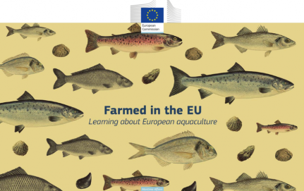 Mokyklos jau gali teikti paraiškas dalyvauti pažintinėje žuvininkystės programoje „Išauginta...