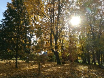 Šv. Mišios, Mokslo ir žinių diena Anykščių rajono savivaldybėje