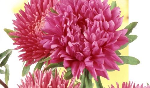 Mieli mokiniai ir mokytojai!