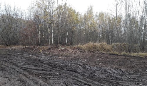 Sutvarkyta teritorija Troškūnų seniūnijos Jovarų kaime
