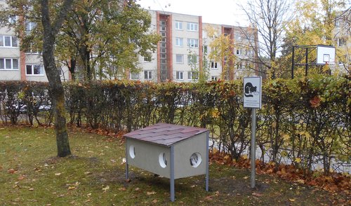 Bešeimininkėms katėms pastatyti nameliai