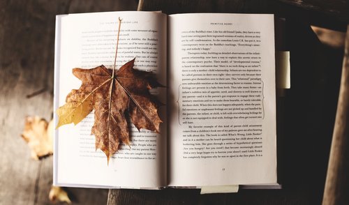 Kvietimas Mokytojams