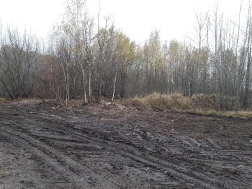 Sutvarkyta teritorija Troškūnų seniūnijos Jovarų kaime