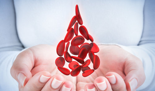 KRAUJO DONORYSTĖS DIENA ANYKŠČIUOSE! 