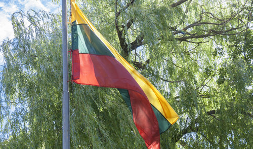 Mero sveikinimas Lietuvos kariuomenės atkūrimo 100-ųjų metinių proga