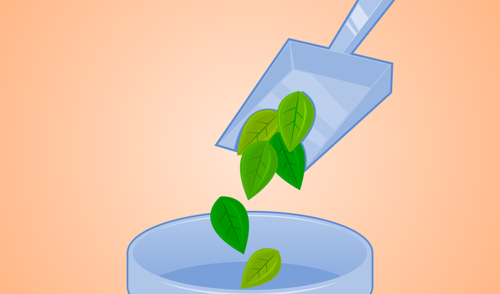 BIODEGRADUOJANČIŲ IR ŽALIŲJŲ ATLIEKŲ IŠVEŽIMAS ANYKŠČIŲ MIESTE