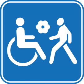 TARPTAUTINĖ ŽMONIŲ SU NEGALIA DIENA