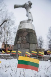 Lietuvos Laisvės gynėjams skirta iškilminga rikiuotė ir susitikimas „Budėjimas naktyje“