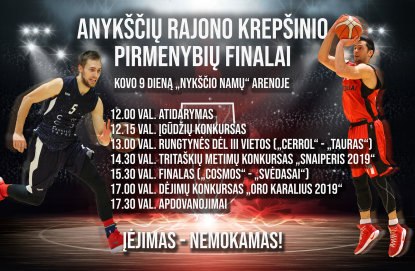 KREPŠINIO FIESTA