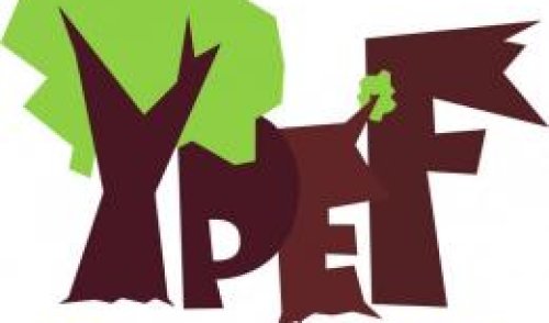 Jauniesiems miško bičiuliams – tarptautinis konkursas