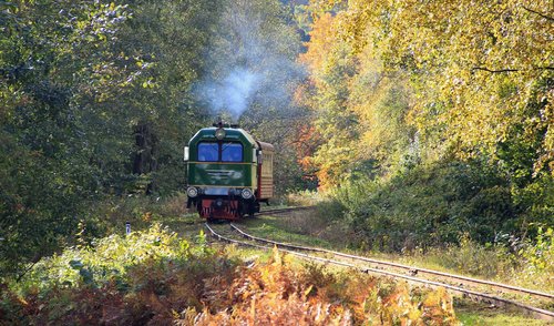 120 metų švenčiantis siaurukas – pradeda keliones