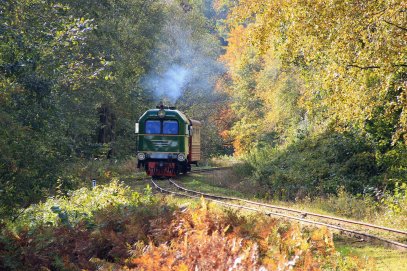 120 metų švenčiantis siaurukas – pradeda keliones