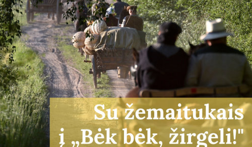 PENKTASIS TRADICINIŲ KINKINIŲ ŽYGIS „Į „BĖK BĖK, ŽIRGELI!“ – SU ŽEMAITUKAIS!” LUOKĖ – NIŪRONYS