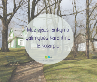 Muziejaus lankymo galimybės karantino laikotarpiu