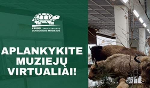 Per karantiną – nemokamos virtualios ekskursijos ir edukacijos